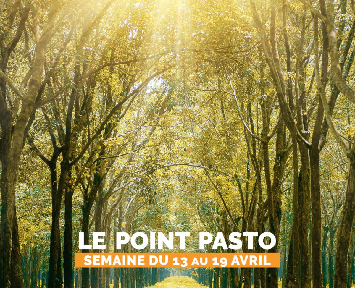 You are currently viewing LE POINT PASTO DE LA SEMAINE DU 13 AU 19 AVRIL